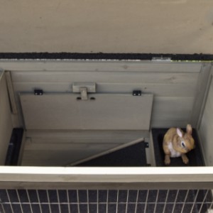 Kaninchenstall mit abschließbarem Schlafbereich