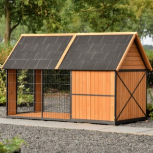 Eben gucken an der Rückseite von Hundehütte Danielle