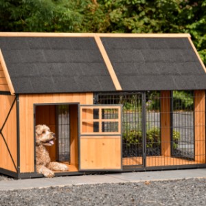 Hundehütte Danielle - das Nachtasyl ist z. B. für einen Labradoodle geeignet