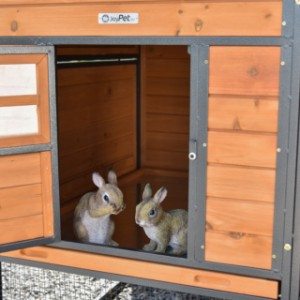 Kaninchenstall Judy ist geeignet für 3 bis 5 Kaninchen
