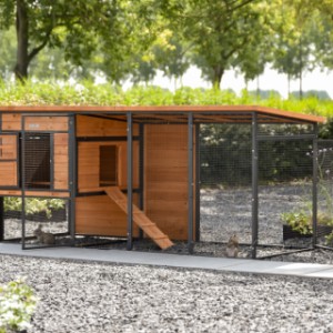 Stall Judy ist geeignet für 3 à 5 Kaninchen