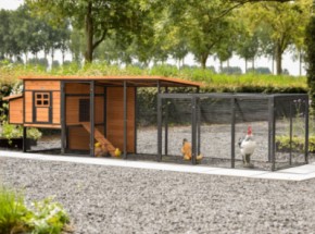 Hühnerstall Judy mit Legenest und Anbau-Auslauf · Brown · 416x100x105cm