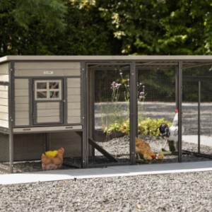 Hühnerstall Judy ist ein Erwerb für Ihre Garten