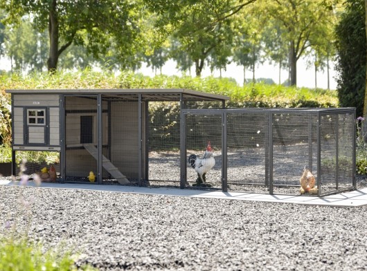 Hühnerstall Judy mit Anbau-Auslauf · Grey · 379x100x105cm
