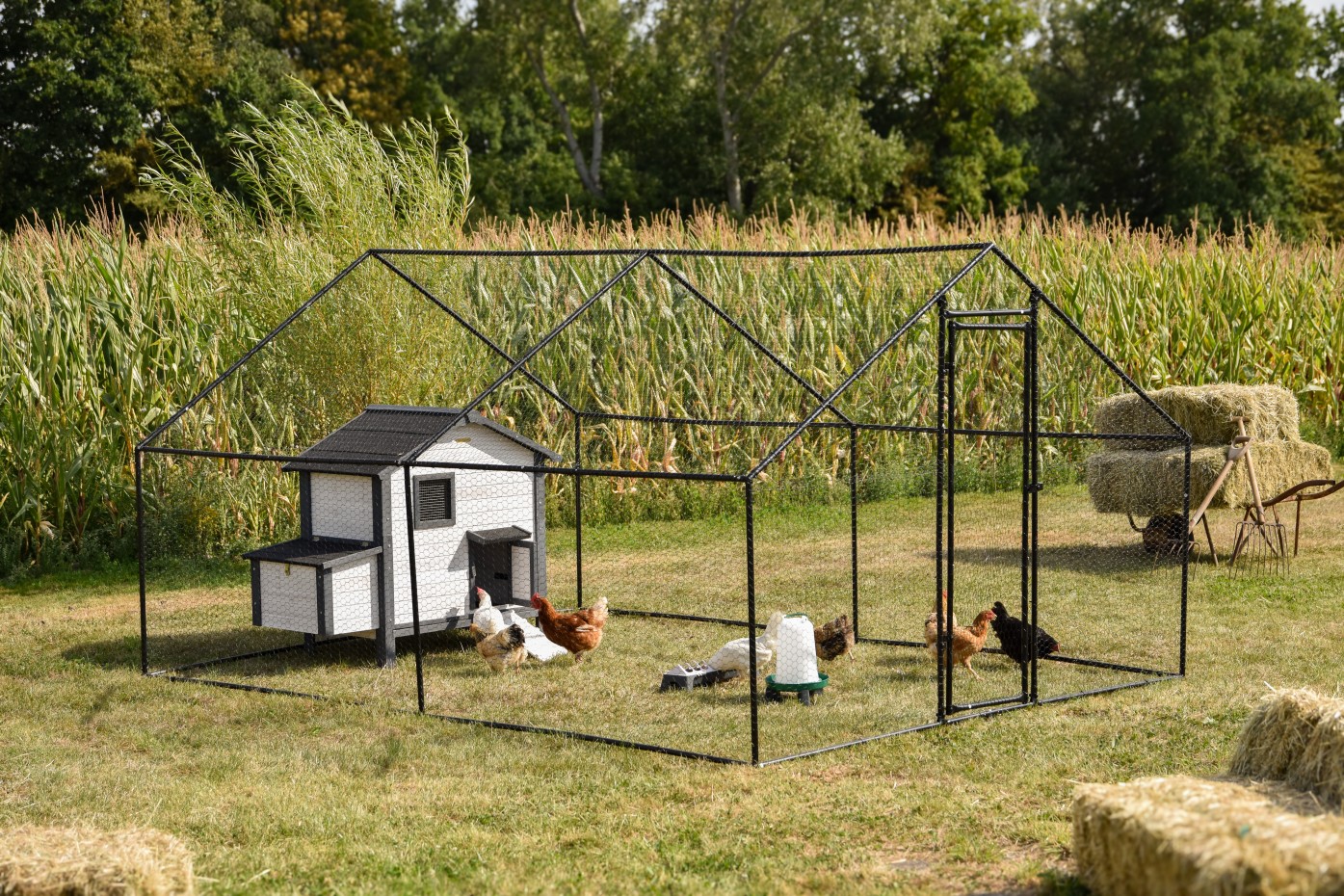 Hühnerauslauf Grande