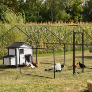 Der Hühnerauslauf Grande gibt 4–12 Hühnern einen herrlich großzügigen Platz.
