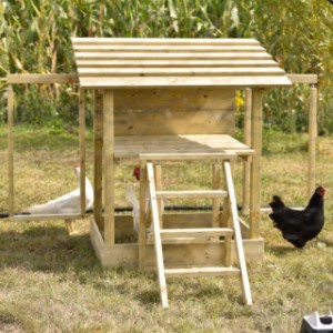 Hühner Spielgerät – ein wunderbarer Spielplatz für Ihre Hühner.