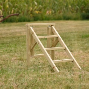 Durch die flachen Stufen ist diese Hühner Treppe wirklich einzigartig!