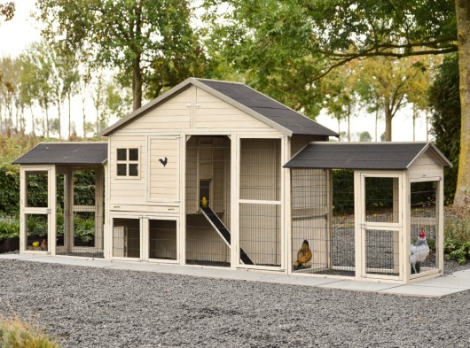 Hühnerhaus Holiday Large mit doppeltem Auslauf 489x100x195 cm