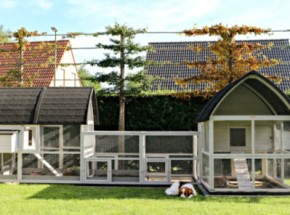 Großer Hühnerstall Kathedraal Luxe - XXL