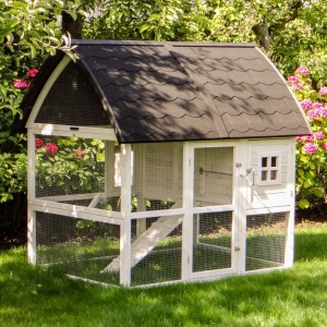 Kaninchenstall Kathedraal Large