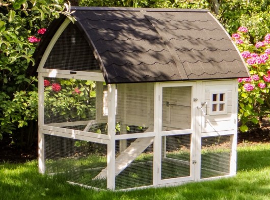 Kaninchenstall Kathedraal Large