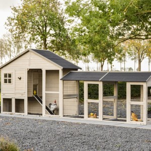 Hühnerhaus Holiday Large mit doppeltem Auslauf 489x100x195 cm