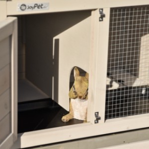 Der Schlafraum von Meerschweinchenstall Annemieke ist ausgestattet mit ein herausnehmbare Trennwand