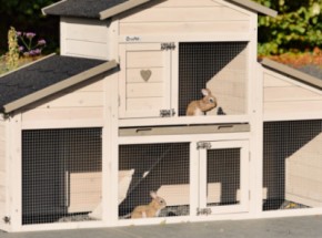 Plexiglas Isolierset für Kaninchenstall Annemieke