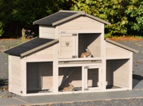 Meerschweinchenstall Annemieke 175x70x110cm