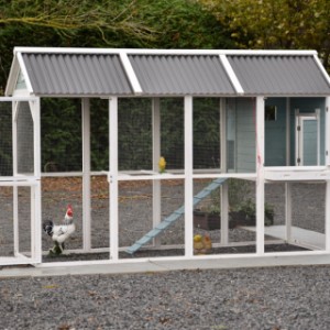 Das Hühnerhaus Alexia hat viele praktische Türen.