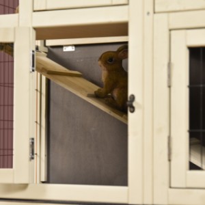 Über die Rampe können die Kaninchen im Kaninchenkäfig Bobby von einer Etage zur anderen gelangen.