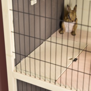 Die zwei Etagen des Kaninchenkäfigs Bobby können voneinander getrennt abgeschlossen werden.