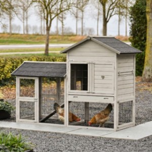 Prestige Medium mit Auslauf light-grey