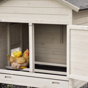 Im Nachthaus des Prestige Medium können Hühner ruhig und geschützt auf der Sitzstange sitzen.