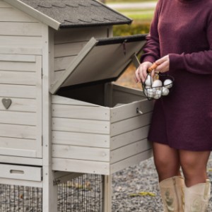 Dank der praktischen Klappenlatte können Sie die Eier aus dem Legenest des Prestige Medium einfach entnehmen.