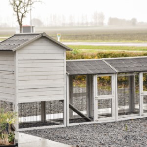 Werfen Sie einen Blick auf die Rückseite des Prestige Medium mit doppeltem Auslauf.