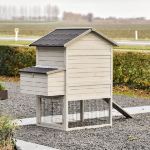 Werfen Sie einen Blick auf die Rückseite des Prestige Medium mit Legenest.