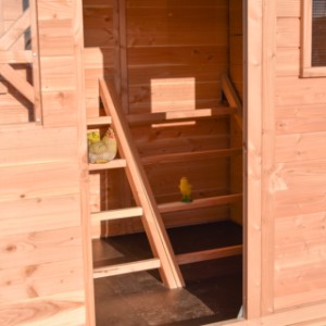 Im Stall befinden sich 2 Sitzstangenleitern mit jeweils 4 Sitzstangen pro Leiter