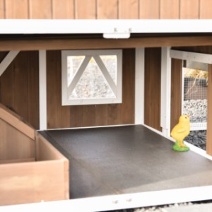 Das Küken schaut kurz durch die Auslaufklappe nach draußen