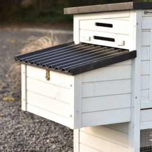 Dies ist das Legenest von Noah