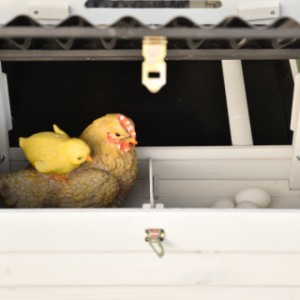 Das Legenest von Noah ist in 2 Bereiche unterteilt