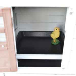 Im Nachtquartier von Noah befindet sich eine herausnehmbare Sitzstange