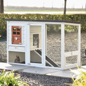 Kaninchenstall Noah Terra 168x65x87cm