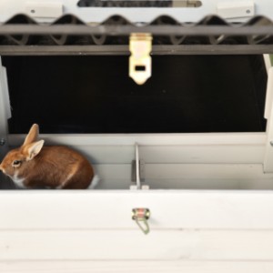 Der Nistkasten an der Seite von Noah sorgt für ein größeres Nachtquartier