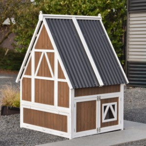 Werfen Sie einen Blick auf die Rückseite von Kaninchenstall Pip