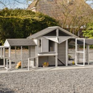 Hühnerstall Holiday Medium Doppel | mit viele Türen