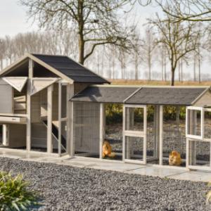 Der Hühnerstall Holiday Medium hat viele Öffnungen