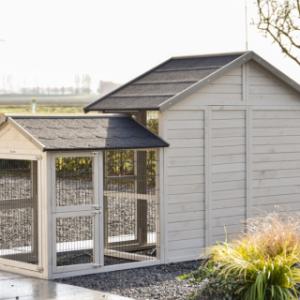 Eben gucken an der Rückseite von Tierheim Holiday Medium