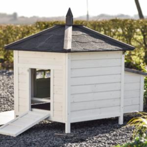 Werfen Sie einen Blick auf die Rückseite von Ambiance Small