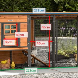 Verschiedene Abmessungen von der Kaninchenstall Judy