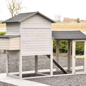 Werfen Sie einen Blick auf die Rückseite von Prestige Large