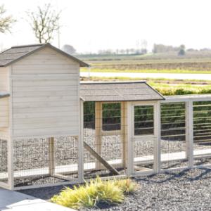 Werfen Sie einen Blick auf die Rückseite von Prestige Large