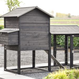 Werfen Sie einen Blick auf die Rückseite von Prestige Large