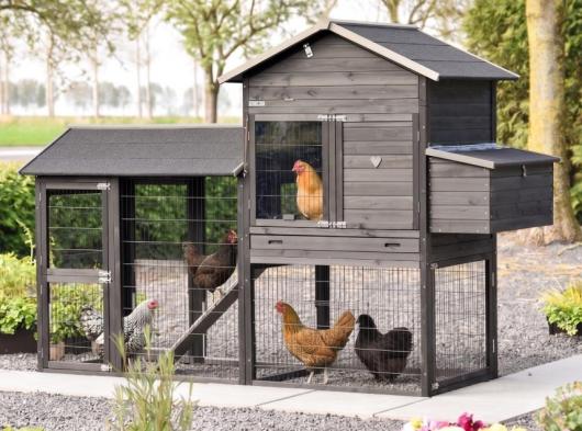 Großer Hühnerstall Prestige Large mit Auslauf und Legenest 265x100x181cm