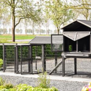 Hühnerstall Prestige Large | mit viele Türen