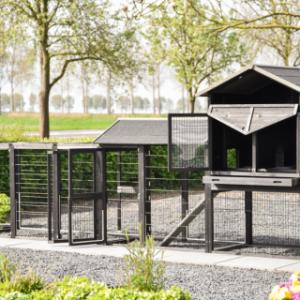 Der Kaninchenstall Prestige Large hat viele Türen