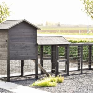 Werfen Sie einen Blick auf die Rückseite des Prestige Large