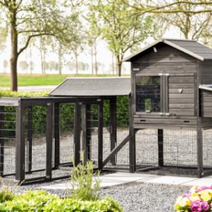 Prestige Large mit 2 Anbauvolieren und Legenest kann auf verschiedene Weise aufgestellt werden