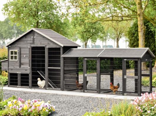 Hühnerstall Holiday Large Black mit 2 Ausläufen und Legenest 515x100x195cm